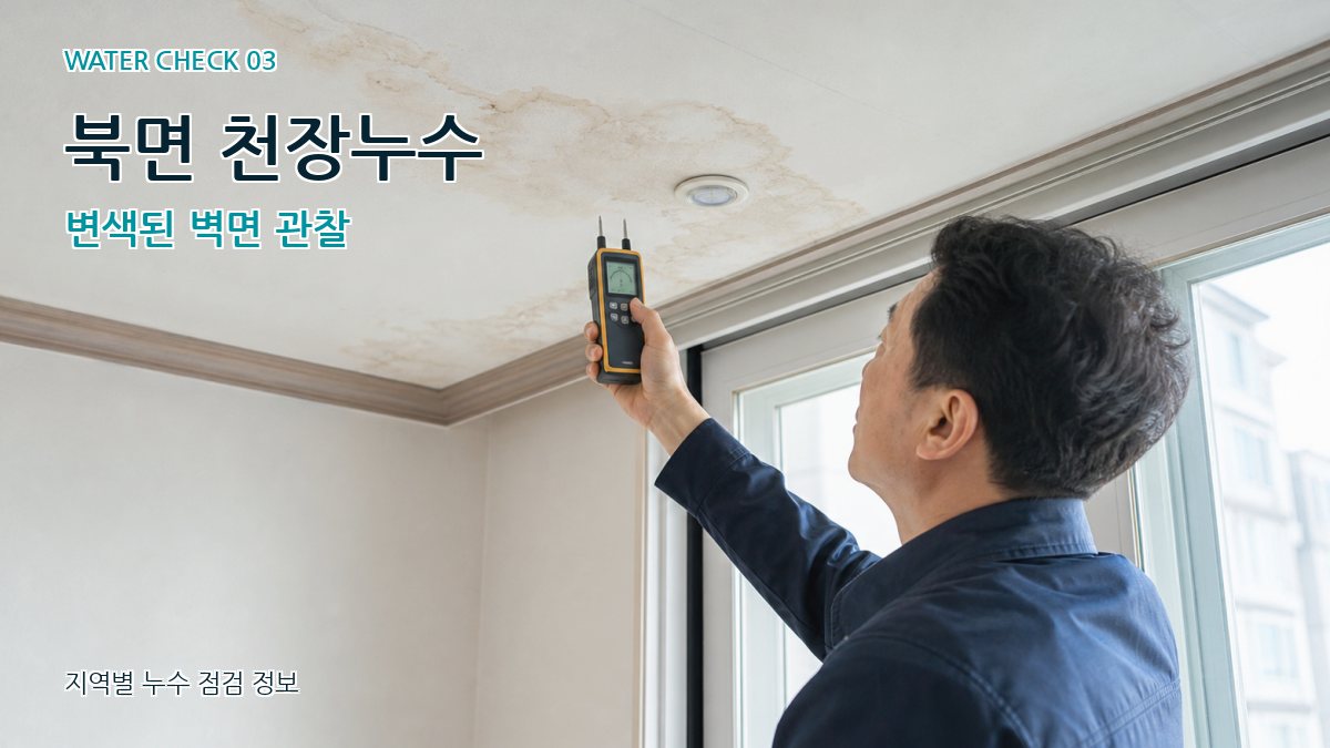 북면 천장누수 누수탐지 이미지